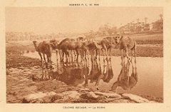 colomb bechar  (29)